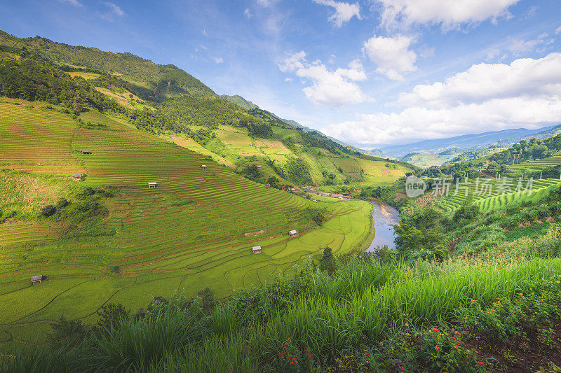 美丽的风景，绿色的稻田准备在越南西北部的梯田日落山在木仓寨，Yen Bai，越南